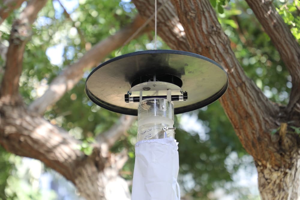 ٢٠٢٥١١٠٤١٠٣٠٢٦_1Y9A0932