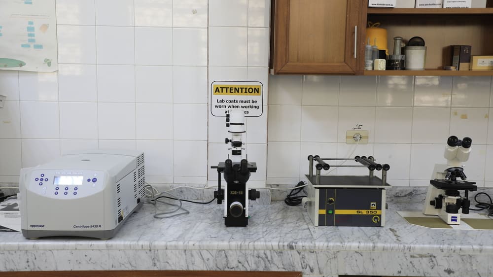 ٢٠٢٥١١١٦١٢٥٥١٦__W1A2971 (1)