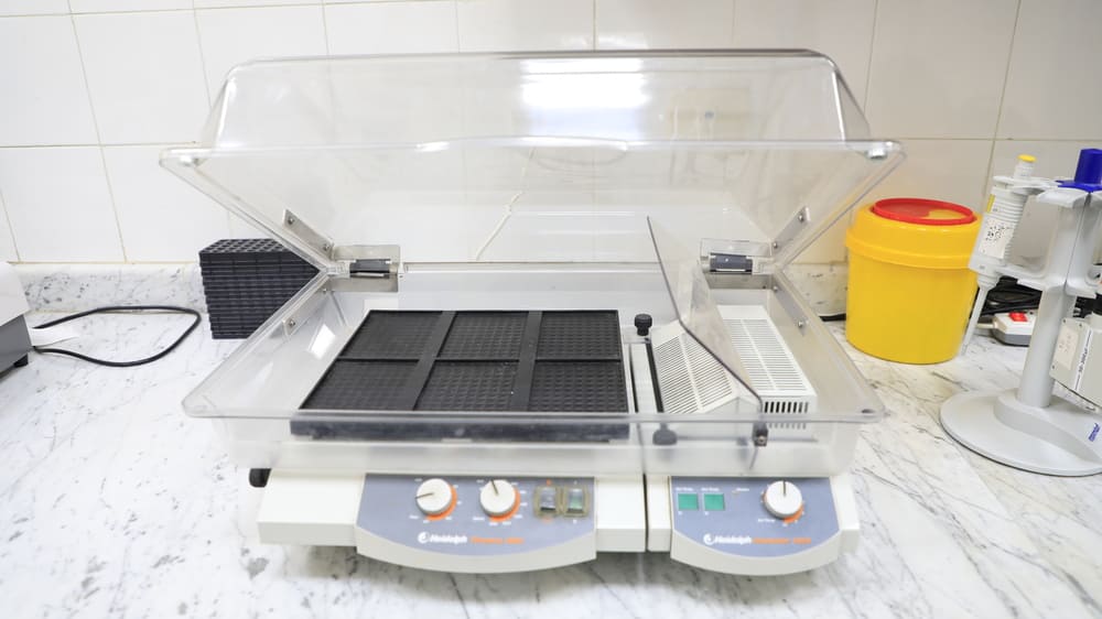 ٢٠٢٥١١١٦١٢٥٩٢١__W1A2977