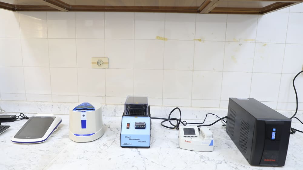 ٢٠٢٥١١١٦١٣٠٧٤٤__W1A2985