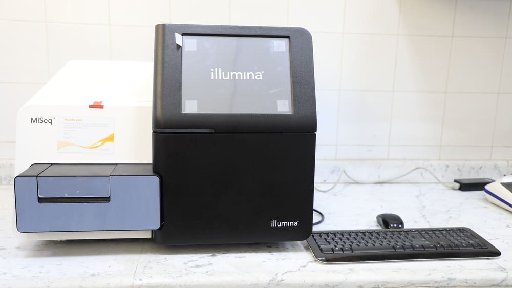 ٢٠٢٥١١١٦١٣٠٨٠٧__W1A2986