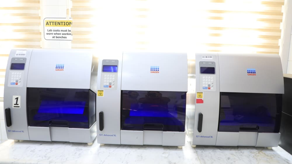 ٢٠٢٥١١١٦١٣١٢٣٧__W1A2992